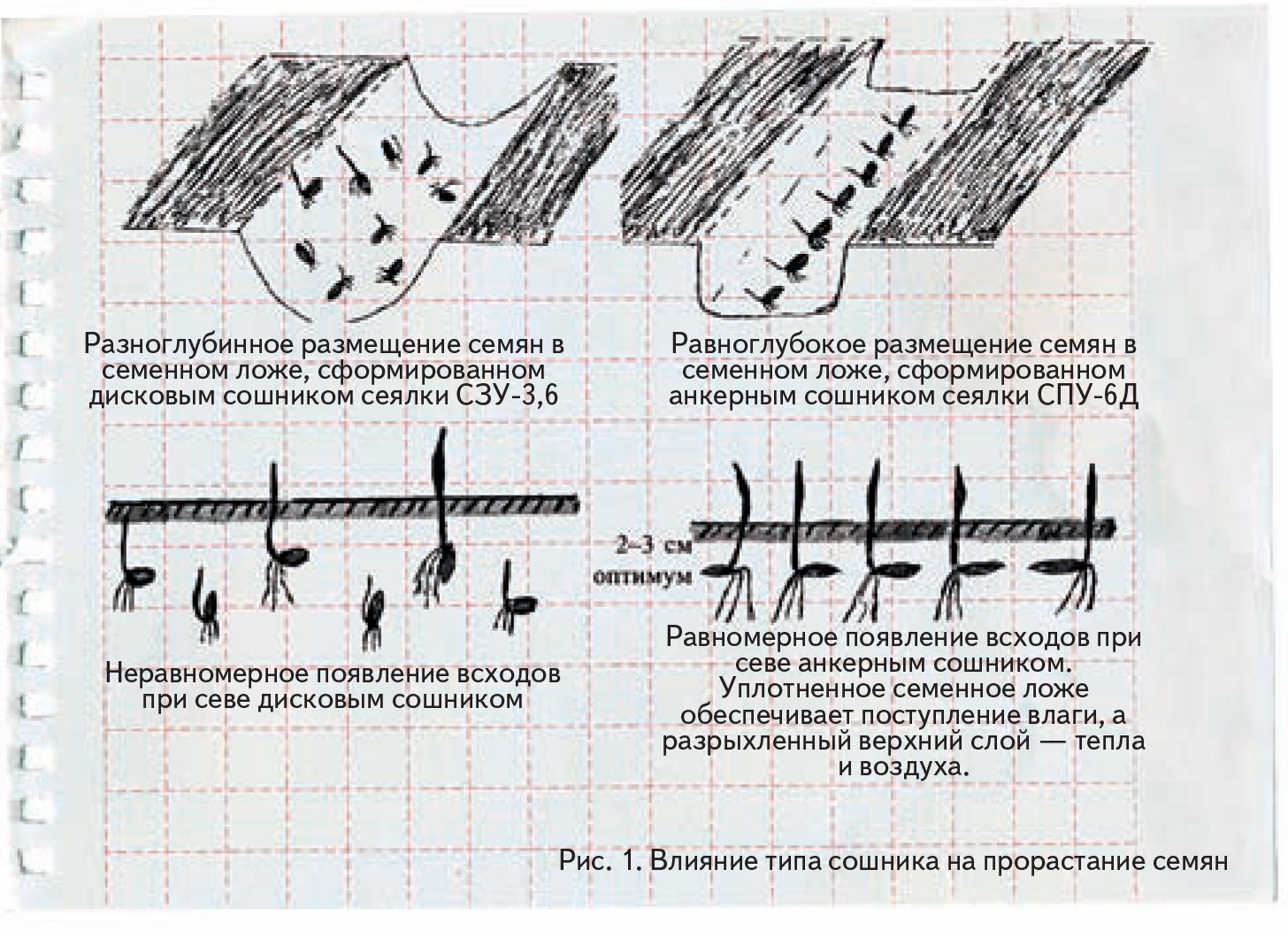 От чего зависит время посева семян используя рисунок